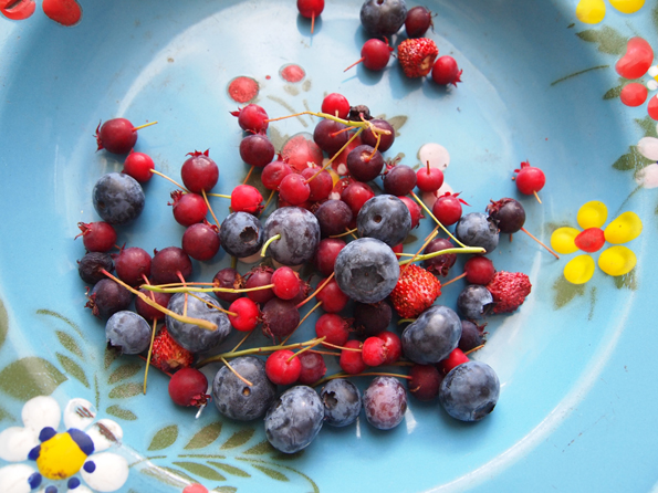 �u���[�x���[�ƃW���[���x���[